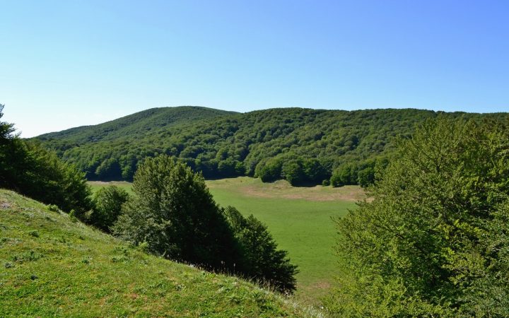 Domenica 27 giugno 2021 - Monte Cardito (1137 m) dai Campi di Cepino