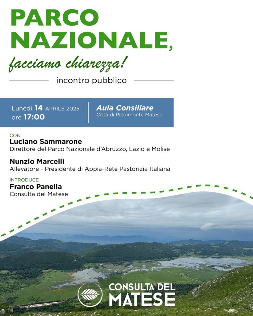Immagine WhatsApp 2025-04-03 ore 13.31.03_5a68ec02